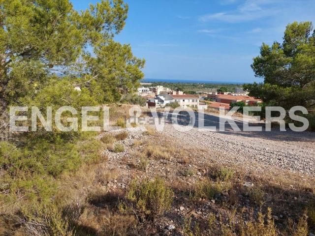 Terreno, Mont Roig del Camp