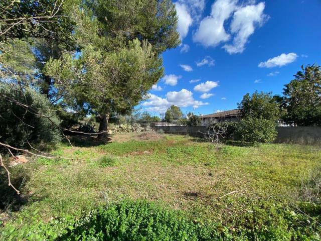 Terreno, Mont Roig del Camp