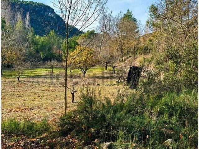 Terreno, Mont Ral