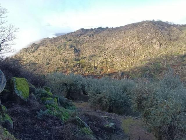 Terreno, Montanchez