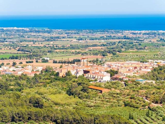 Terreno, Montbrio del Camp