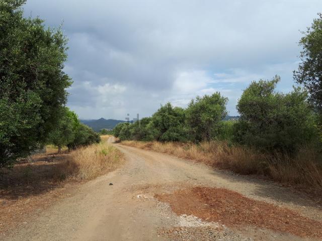Terreno, Montbrio del Camp