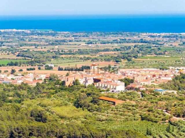 Terreno, Montbrio del Camp