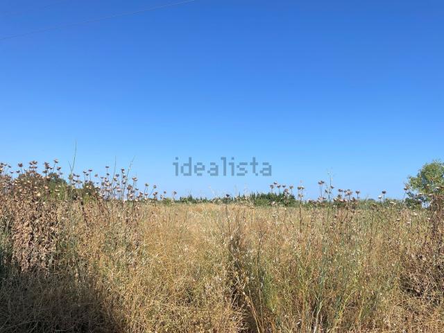 Terreno, Montbrio del Camp
