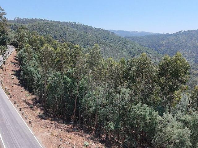 Terreno, Monte Córdova