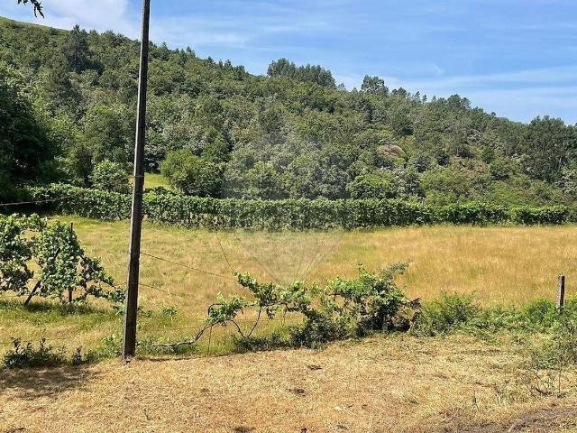 Terreno, Monte e Queimadela