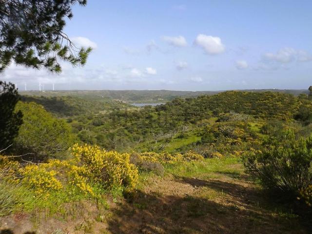 Terreno, Monte Gordo