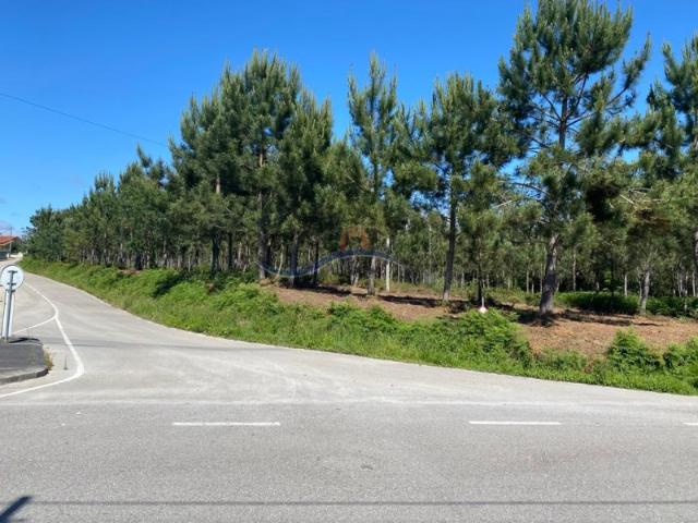 Terreno Monte Real