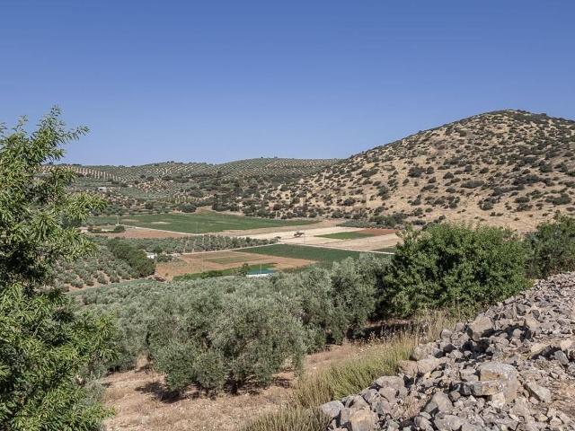 Terreno, Montefrio