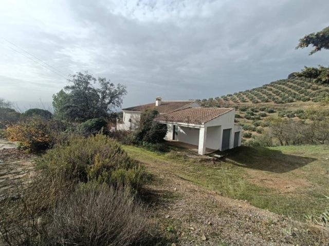 Terreno, Montefrio
