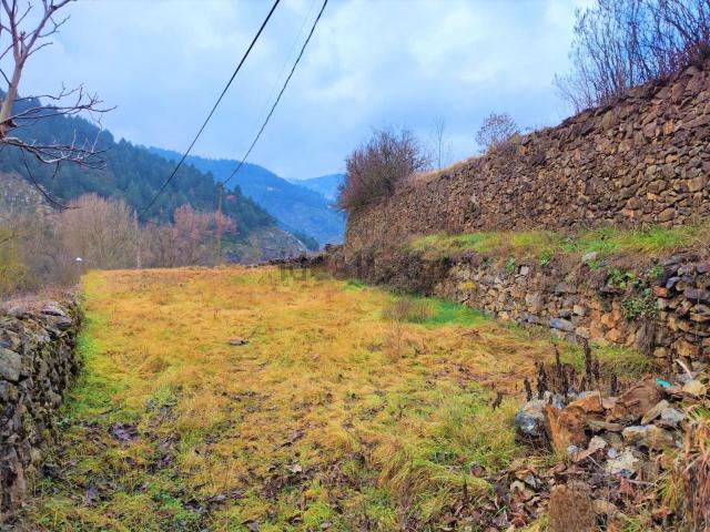Terreno, Montellá i Martinet