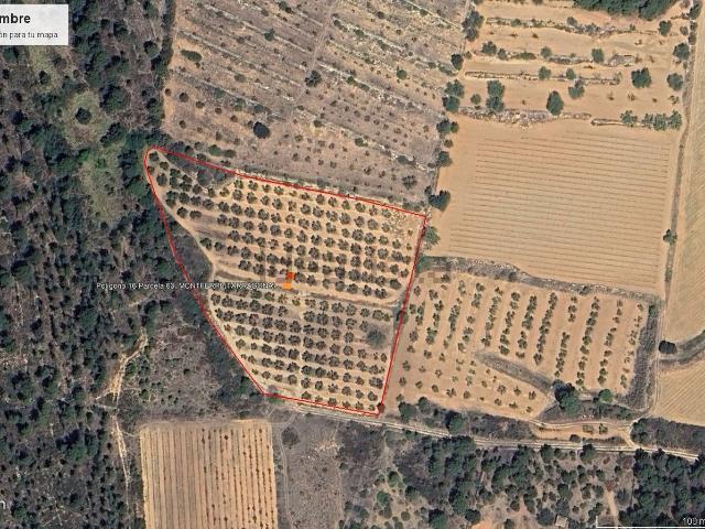 Terreno, Montferri