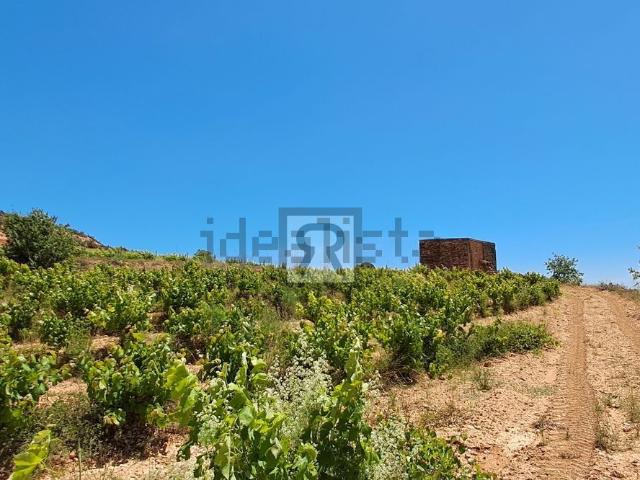 Terreno, Montferri