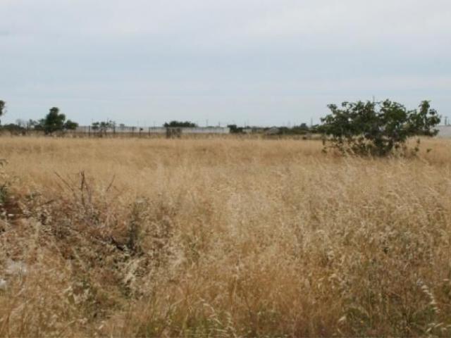 Terreno Montijo