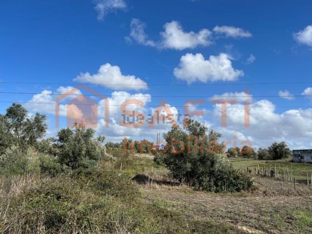 Terreno, Montijo e Afonsoeiro