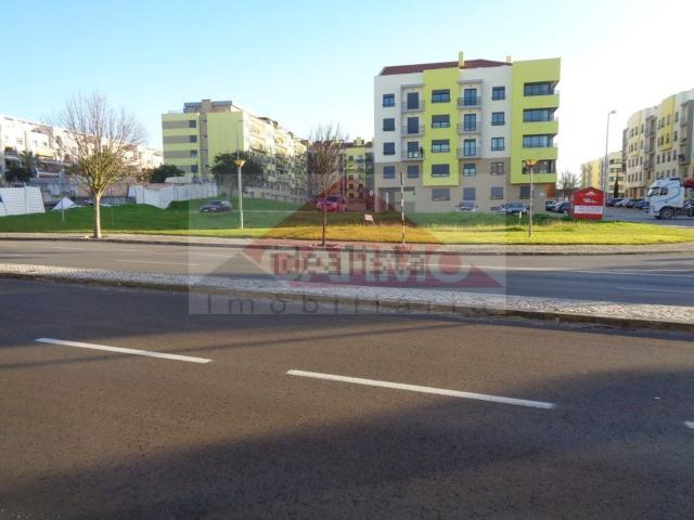 Terreno, Montijo e Afonsoeiro