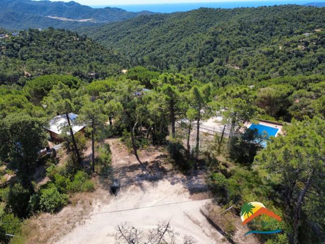 Terreno, Montlloret, Lloret de Mar