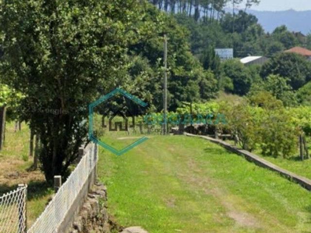 Terreno, Mos