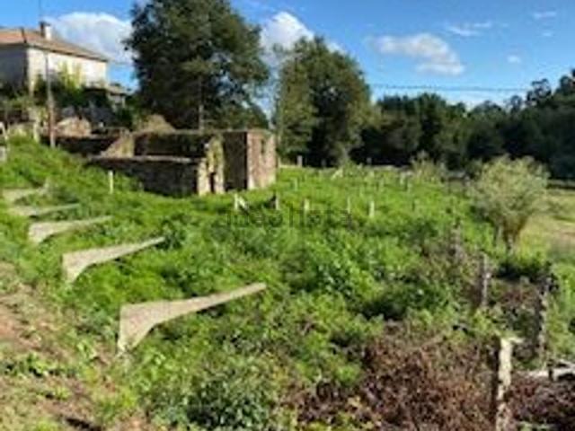 Terreno, Mos