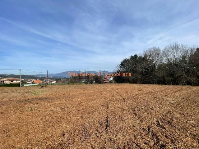 Terreno, Mos