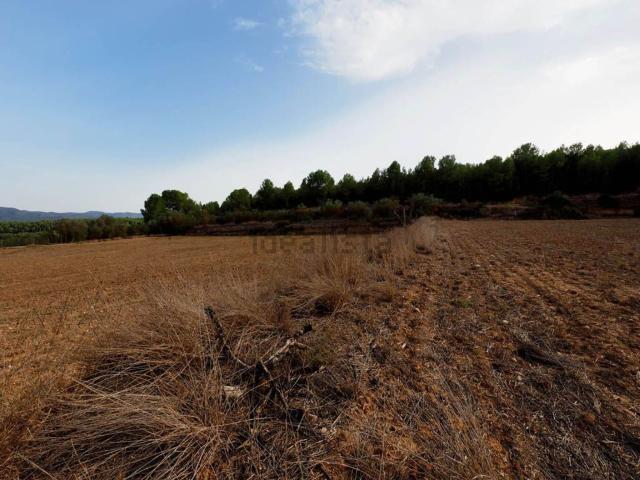 Terreno, Mora d&apos Ebre