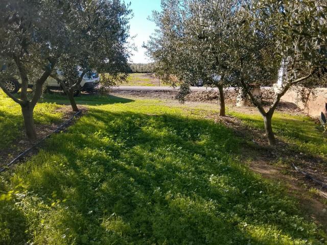 Terreno, Mora d&apos Ebre