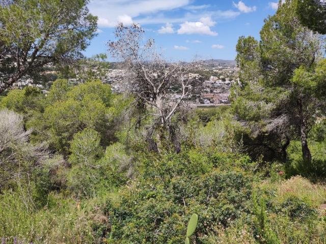 Terreno, Moraira