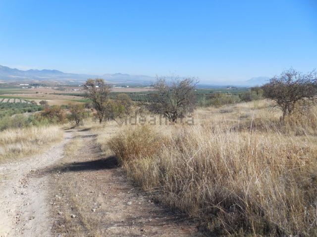 Terreno, Moraleda de Zafayona