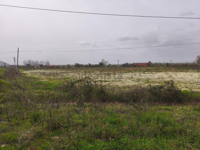 Terreno, Moraleja