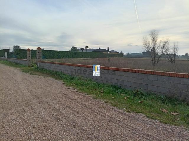 Terreno, Morales del Vino