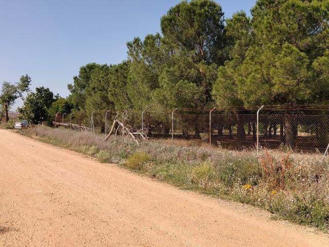 Terreno, Morales del Vino