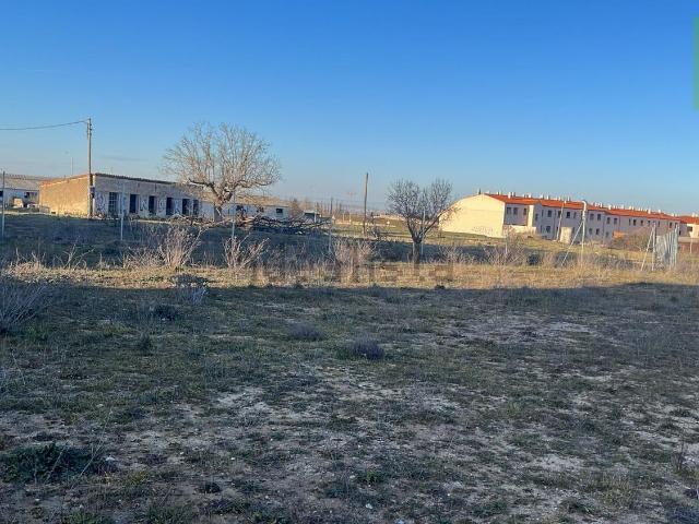 Terreno, Morales del Vino