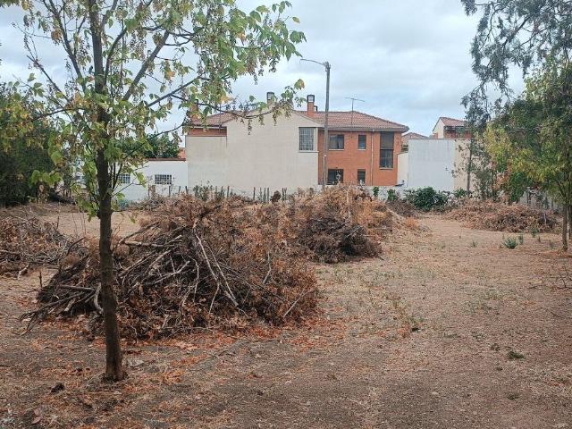 Terreno, Morales del Vino