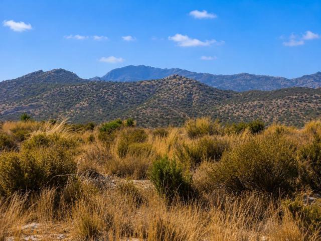 Terreno, Moralet