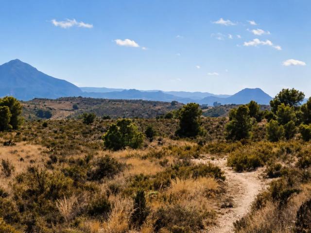 Terreno, Moralet