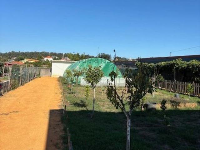 Terreno, Moreira