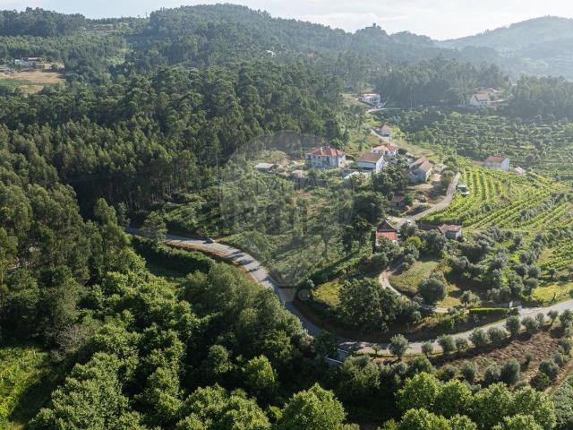 Terreno, Moreira do Castelo