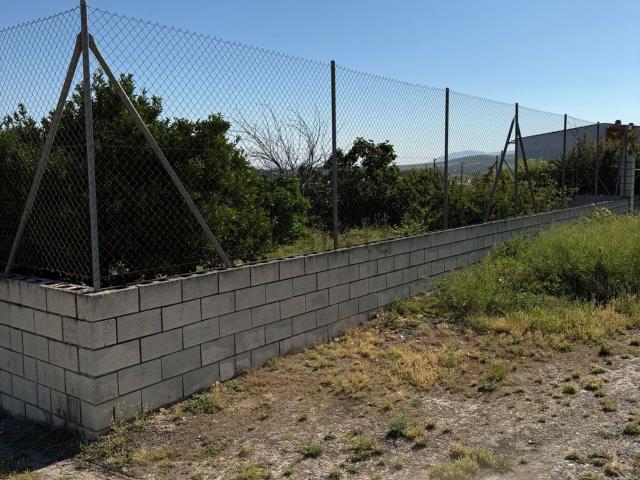 Terreno, Moriles
