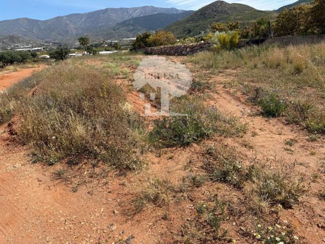 Terreno, Motril