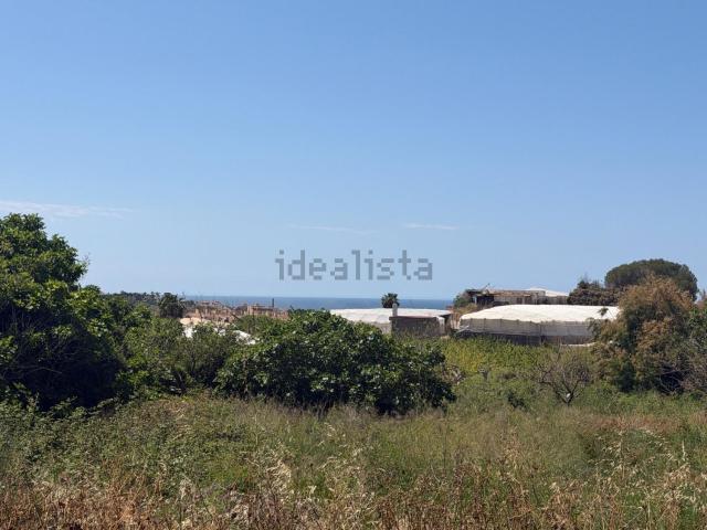 Terreno, Motril