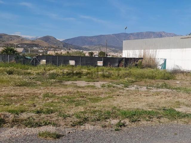Terreno, Motril