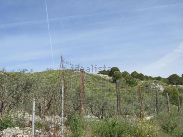 Terreno, Motril