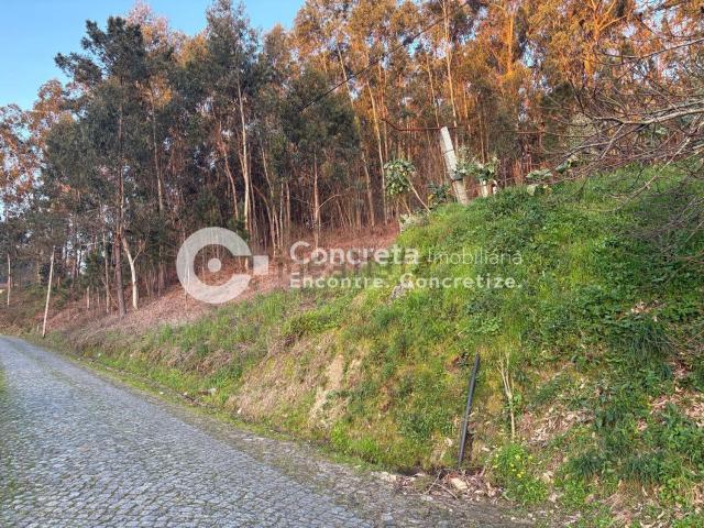 Terreno, Moure
