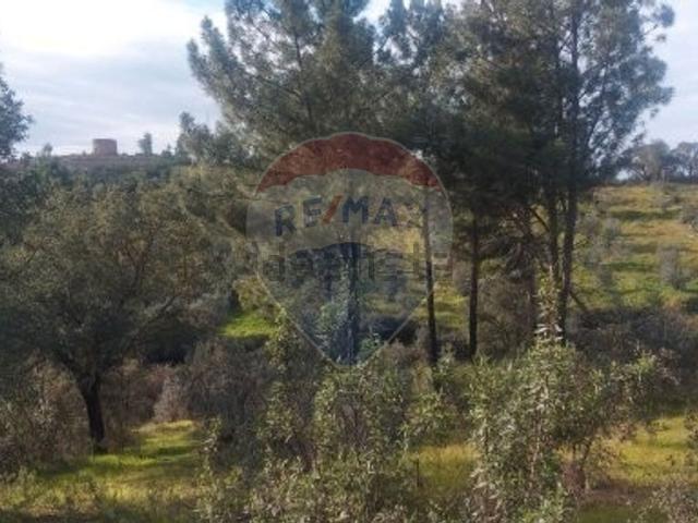 Terreno, Mouriscas