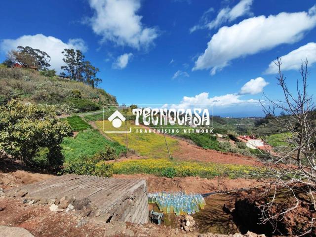 Terreno, Moya