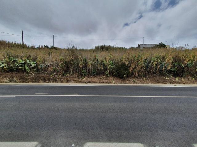 Terreno, Moya