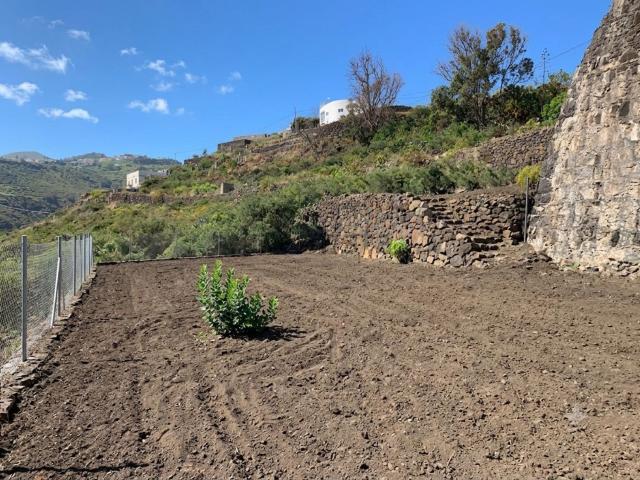 Terreno, Moya