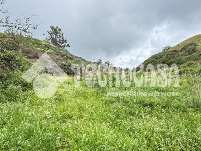Terreno, Moya