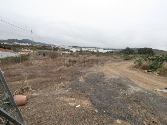 Terreno, Moya