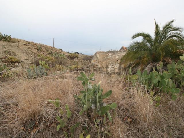 Terreno, Moya
